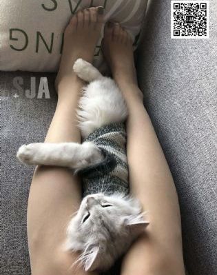 攻把受按在腿上打pp男男_国语版完整版